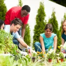 Teens volunteering in garden