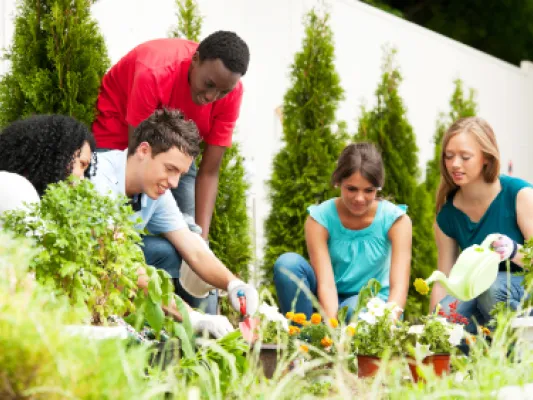 Teens volunteering in garden