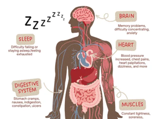 Illustration of the body and how stress affects different systems