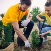 Two people planting trees